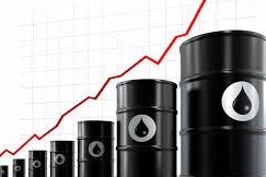 نرخ فرآورده‌های نفتی ٢۵ درصد رشد کرد